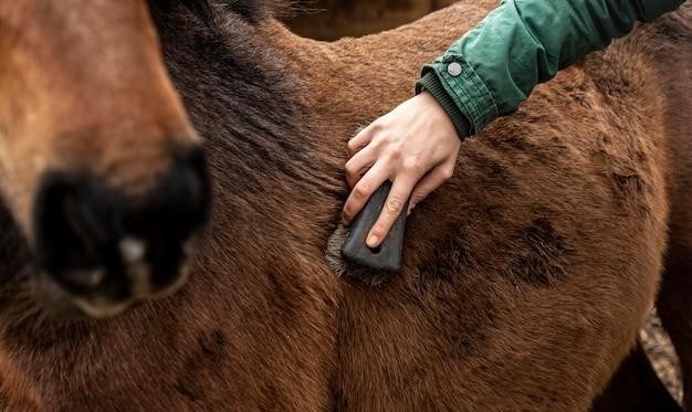 equine joint injections guide