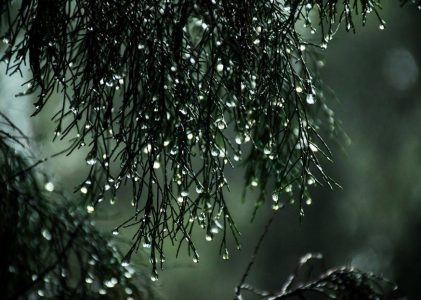 dry bulb wet bulb temperature relative humidity chart pdf