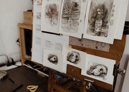 philips respironics simplygo mini manual